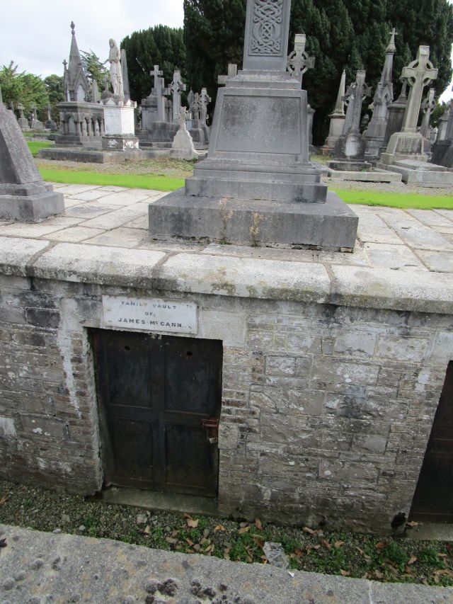 james mccann vault